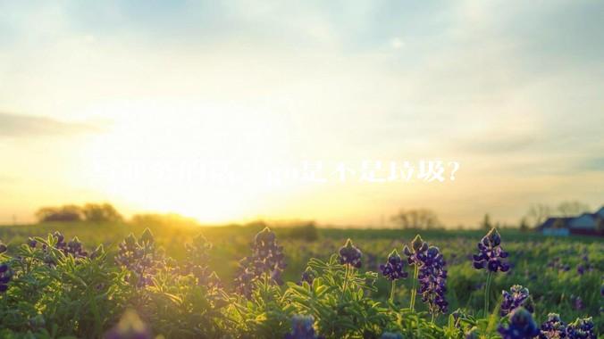 写业务的话，go是不是垃圾？