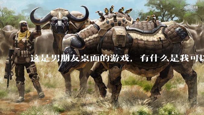 这是男朋友桌面的游戏，有什么是我可以陪他玩的吗？