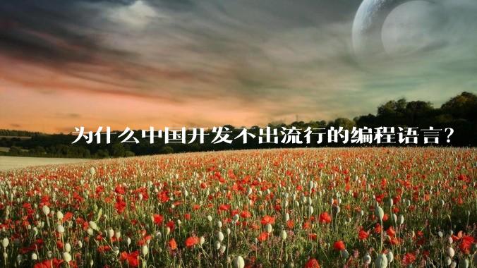 为什么中国开发不出流行的编程语言？